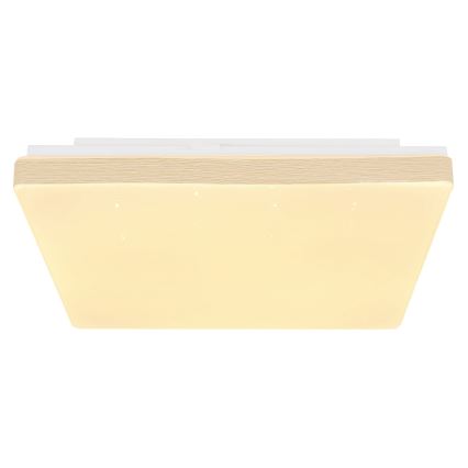 Globo - Plafonnier LED/12W/230V