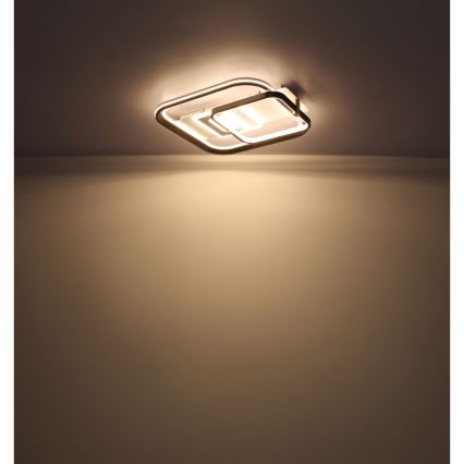 Globo 48459-48 - Plafonnier LED dimmable ANI LED/48W/230V 2700-6000K 48x52 cm + télécommande