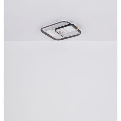 Globo 48459-48 - Plafonnier LED dimmable ANI LED/48W/230V 2700-6000K 48x52 cm + télécommande