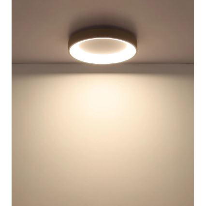 Globo - Plafonnier LED dimmable LED/48W/230V 2700-6000K Ø 50 cm + télécommande