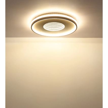 Globo - Plafonnier LED dimmable 40W/230V 2700-6500K Ø 50,5 cm + télécommande