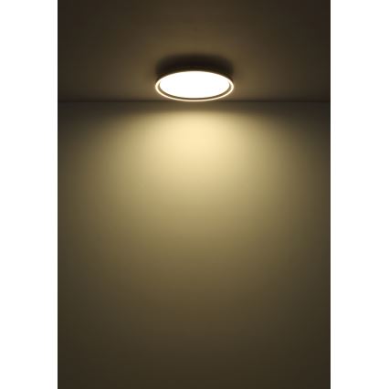 Globo - Plafonnier à intensité variable LED/48W/230V d. 50 cm 2700-6000K + télécommande