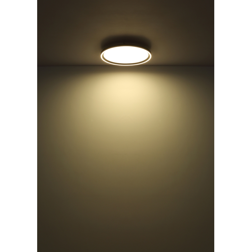 Globo - Plafonnier à intensité variable LED/48W/230V d. 50 cm 2700-6000K + télécommande