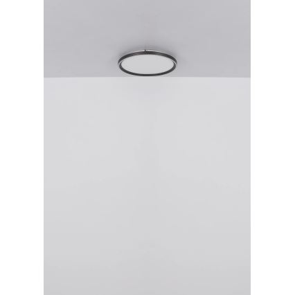 Globo - Plafonnier à intensité variable LED/48W/230V d. 50 cm 2700-6000K + télécommande