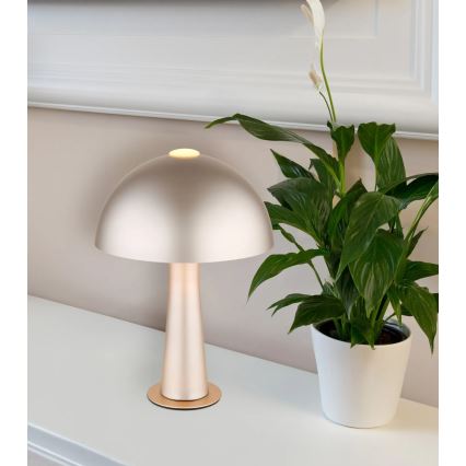 Globo - Lampe de table 1xE14/25W/230V chrome mat