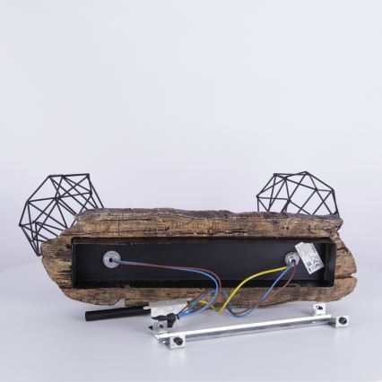 Globo - Spot 2xE27/60W/230V