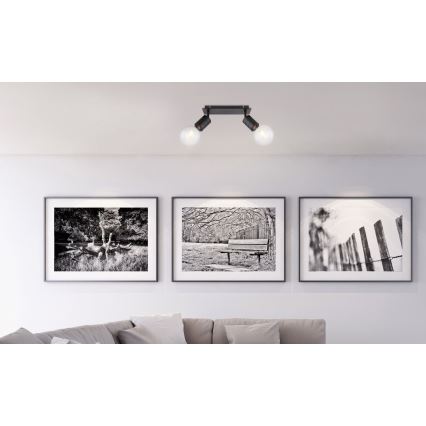 Globo - Spot 2xE27/60W/230V