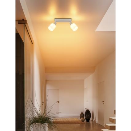 Globo - Spot orientable 2xE14/25W/230V