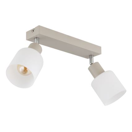 Globo - Spot orientable 2xE14/25W/230V
