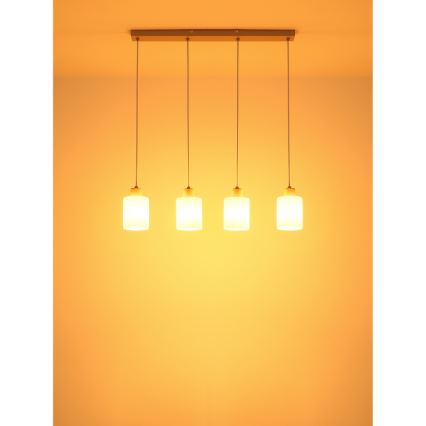 Globo - Suspension sur câble 4xE27/40W/230V