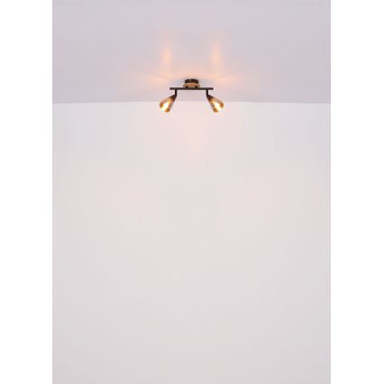 Globo - Spot 2xE14/25W/230V