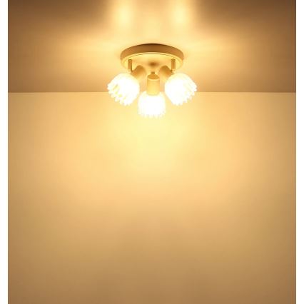 Globo - Luminaire à spots 3xE14/40W/230V