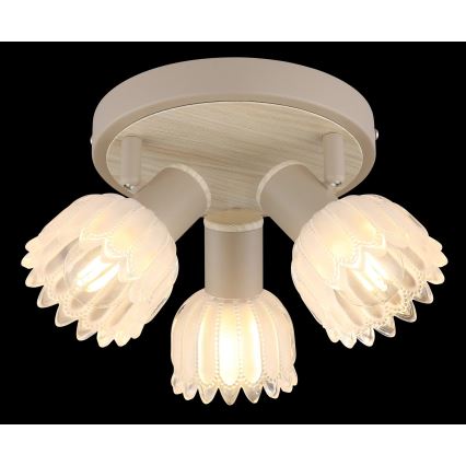 Globo - Luminaire à spots 3xE14/40W/230V