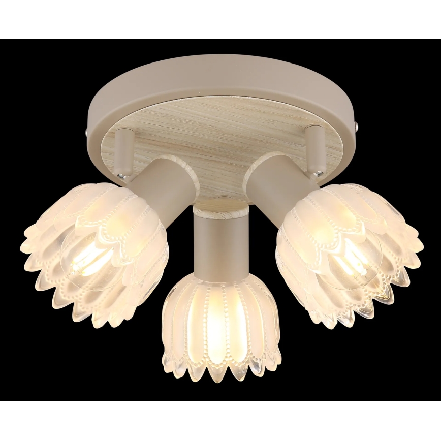 Globo - Luminaire à spots 3xE14/40W/230V