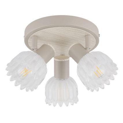 Globo - Luminaire à spots 3xE14/40W/230V
