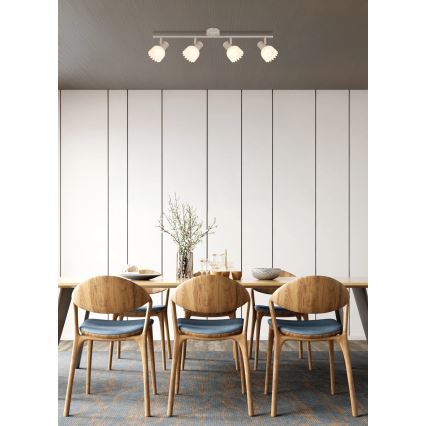 Globo - Spot 4xE14/40W/230V