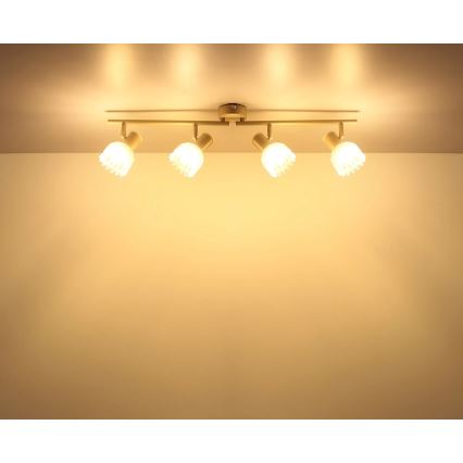 Globo - Spot 4xE14/40W/230V