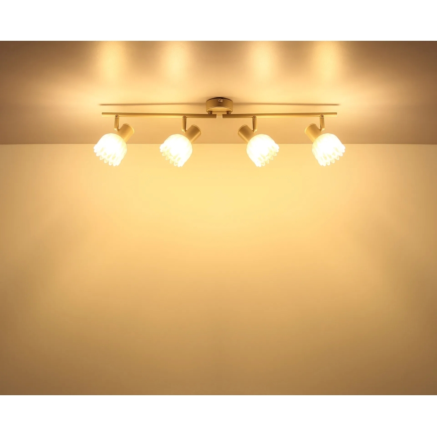 Globo - Spot 4xE14/40W/230V