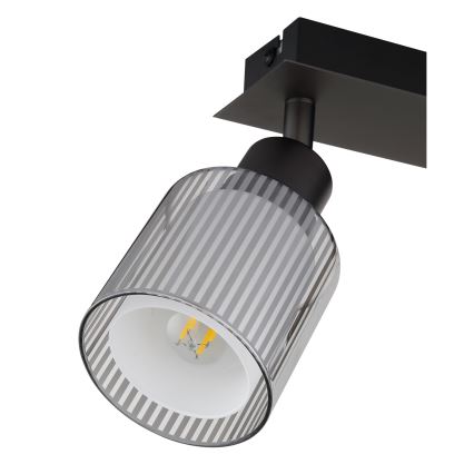 Globo - Luminaire à spots 2xE14/25W/230V