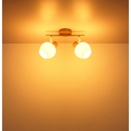 Globo - Luminaire à spots 2xE27/40W/230V
