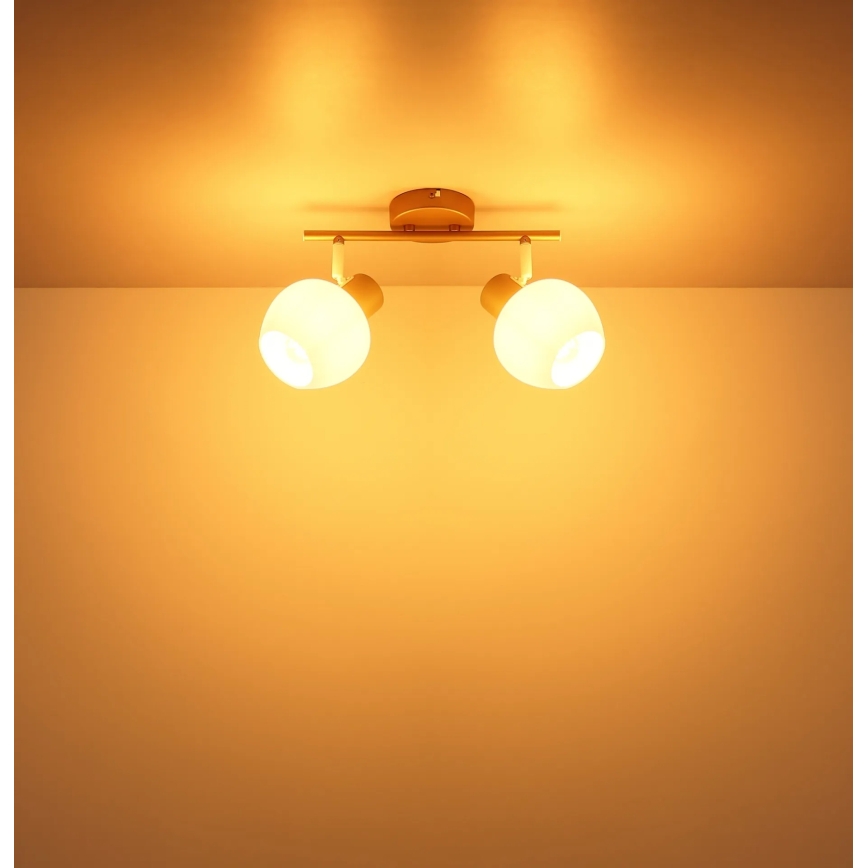 Globo - Luminaire à spots 2xE27/40W/230V