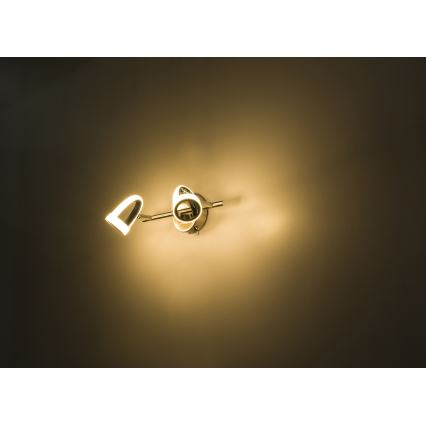 GLOBO 56006-2 - Spot LED RODRIK 2xLED/5W/230V
