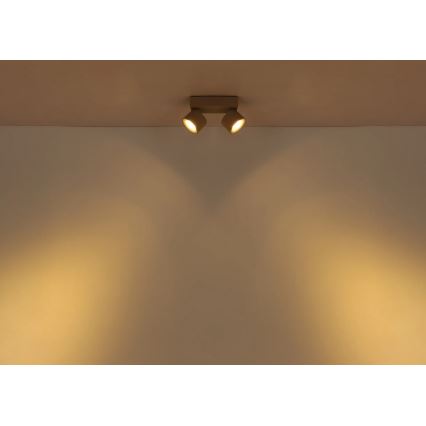 Globo - Spot LED 2x6W 230V