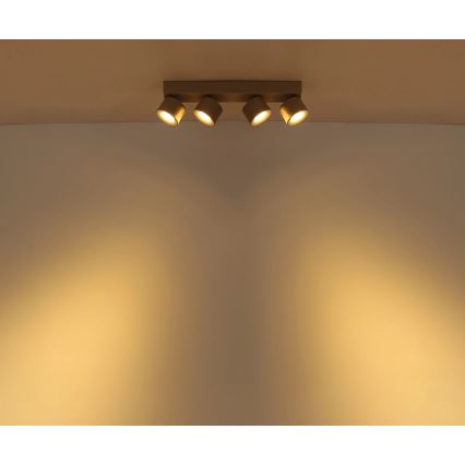 Globo - Spot LED 4xLED/6W/230V