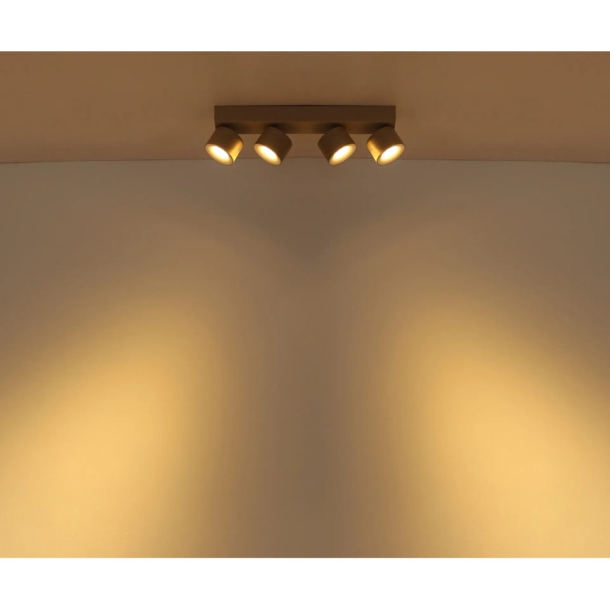 Globo - Spot LED 4xLED/6W/230V