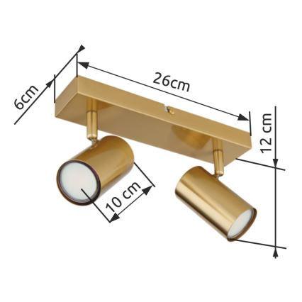 Globo - Spot 2xGU10/35W/230V doré