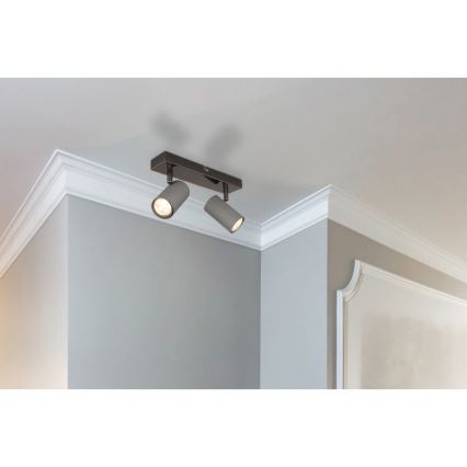 Globo - Spot 2xGU10/25W/230V