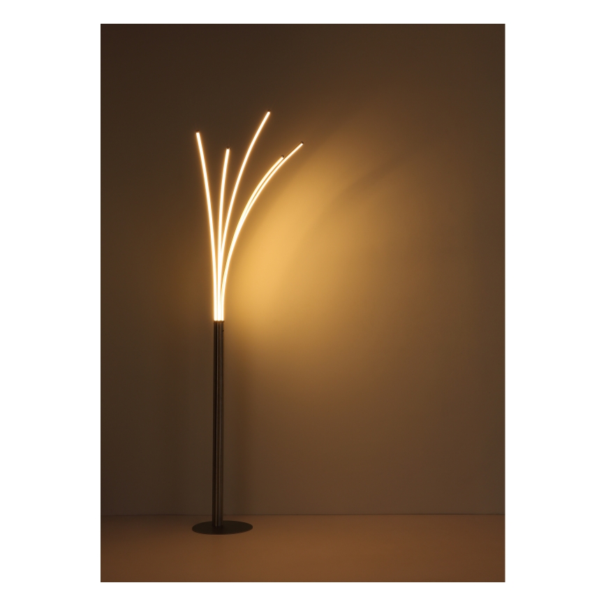 Globo - Lampadaire tactile LED dimmable LED/36W/230V