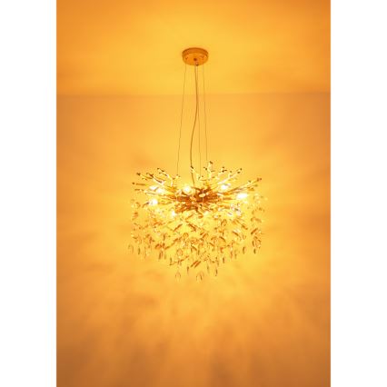 Globo - Suspension sur câble 8xE14/40W/230V dorée