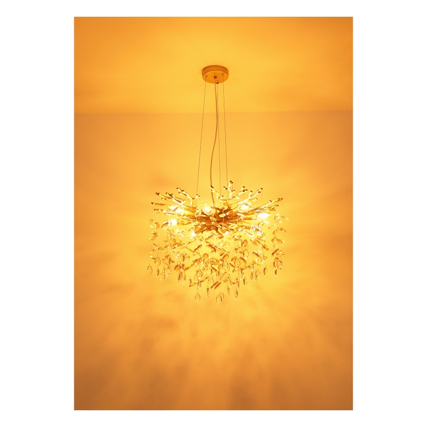 Globo - Suspension sur câble 8xE14/40W/230V dorée