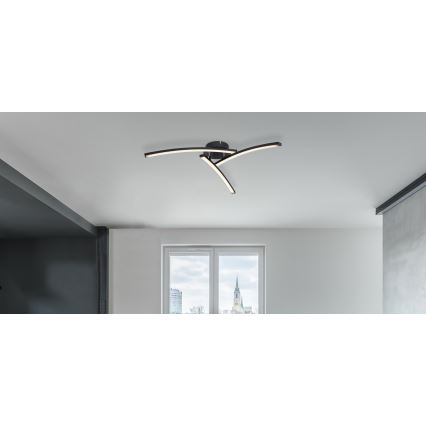 Globo - Plafonnier 3xLED/6W/230V 3000/4000/6000K