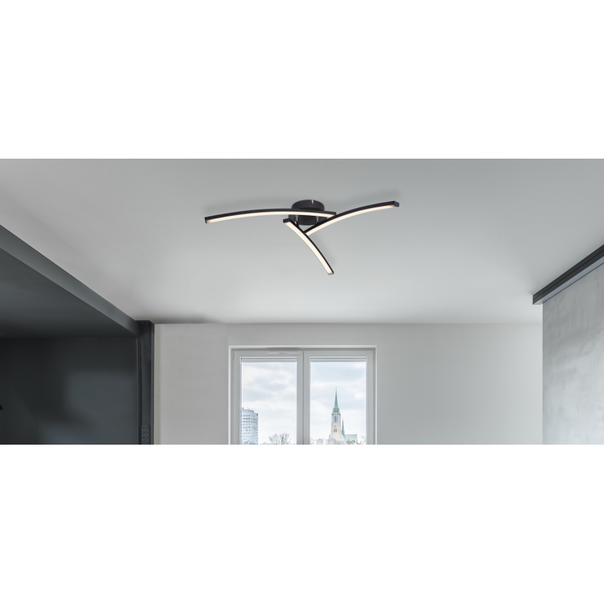 Globo - Plafonnier 3xLED/6W/230V 3000/4000/6000K