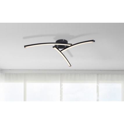 Globo - Plafonnier 3xLED/6W/230V 3000/4000/6000K