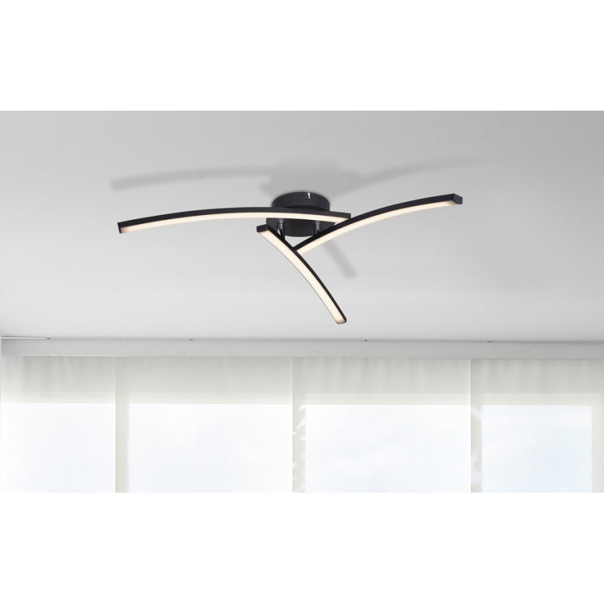 Globo - Plafonnier 3xLED/6W/230V 3000/4000/6000K