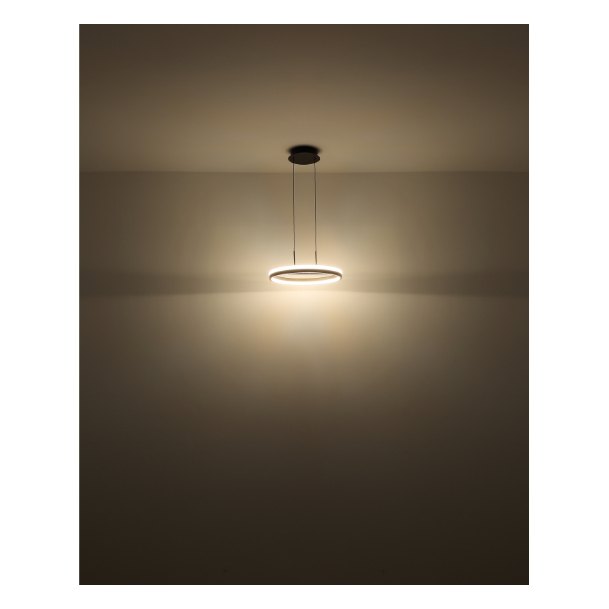 Globo - Suspension LED sur câble, 40 W, 230 V, 3000/4000/6000 K, Ø 39,7 cm