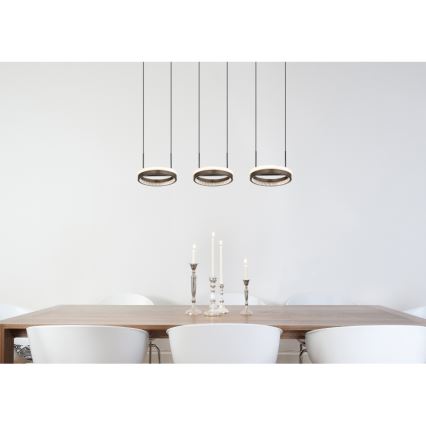 Globo - Suspension LED sur câble LED/40W/230V 3000/4000/6000K