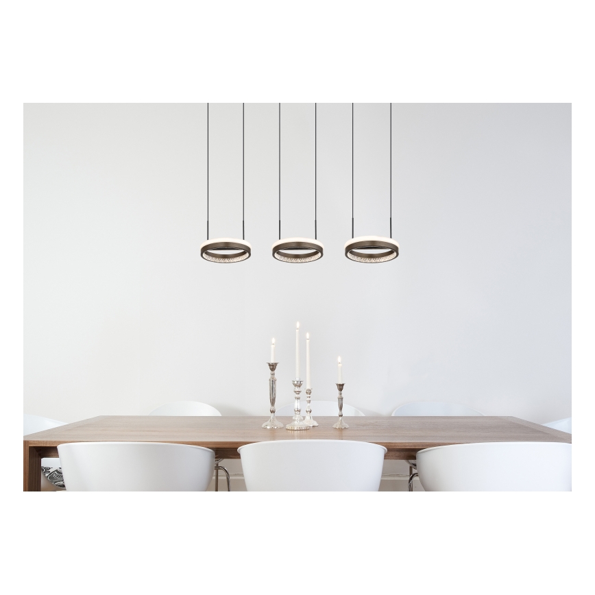 Globo - Suspension LED sur câble LED/40W/230V 3000/4000/6000K