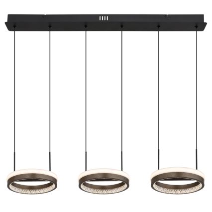 Globo - Suspension LED sur câble LED/40W/230V 3000/4000/6000K