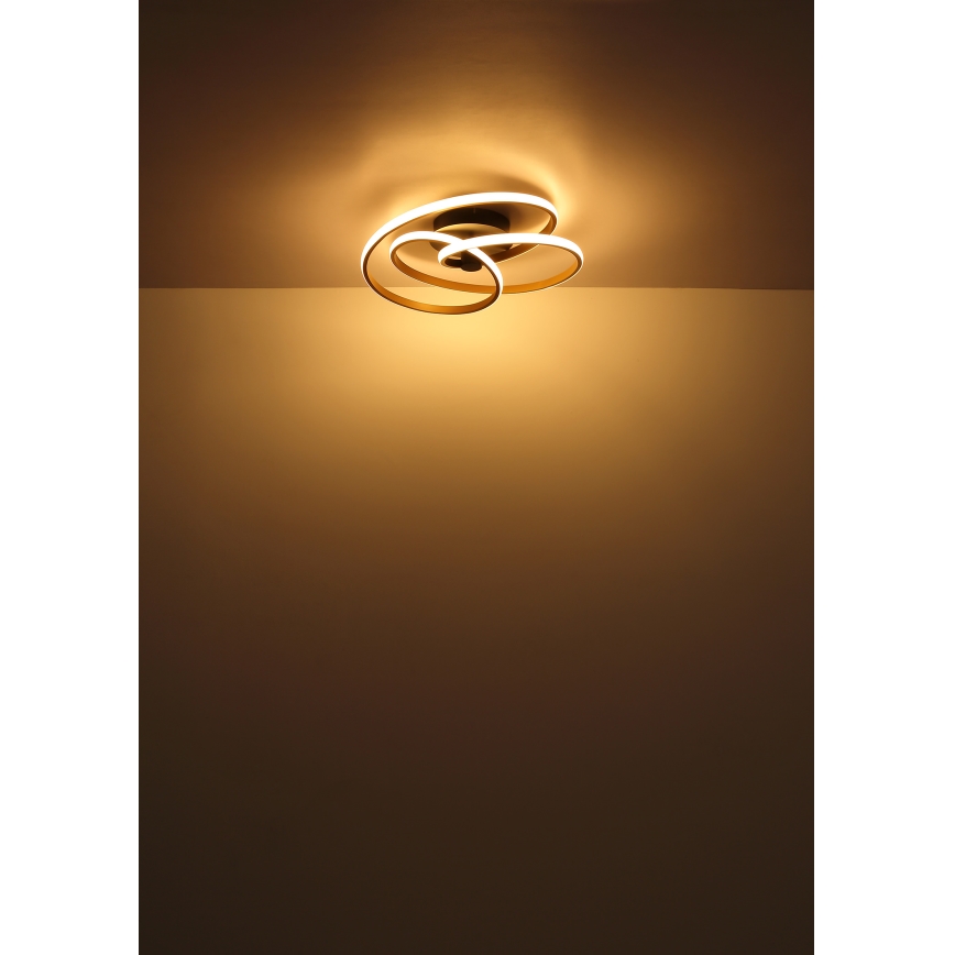 Globo - Plafonnier LED/40W/230V 3000K doré/noir