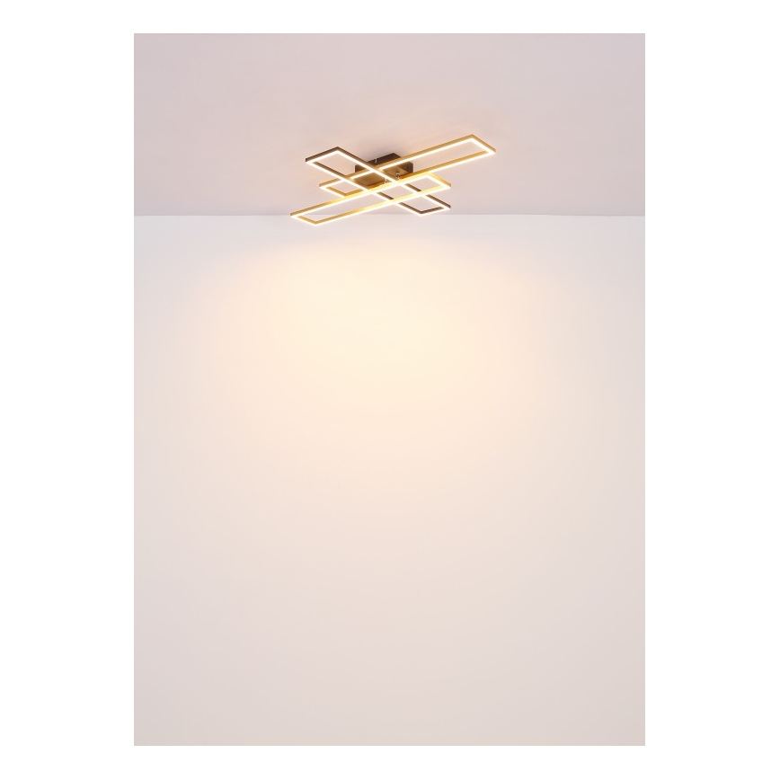 Globo - Plafonnier LED/40W/230V 3000K 60x80 cm noir/doré