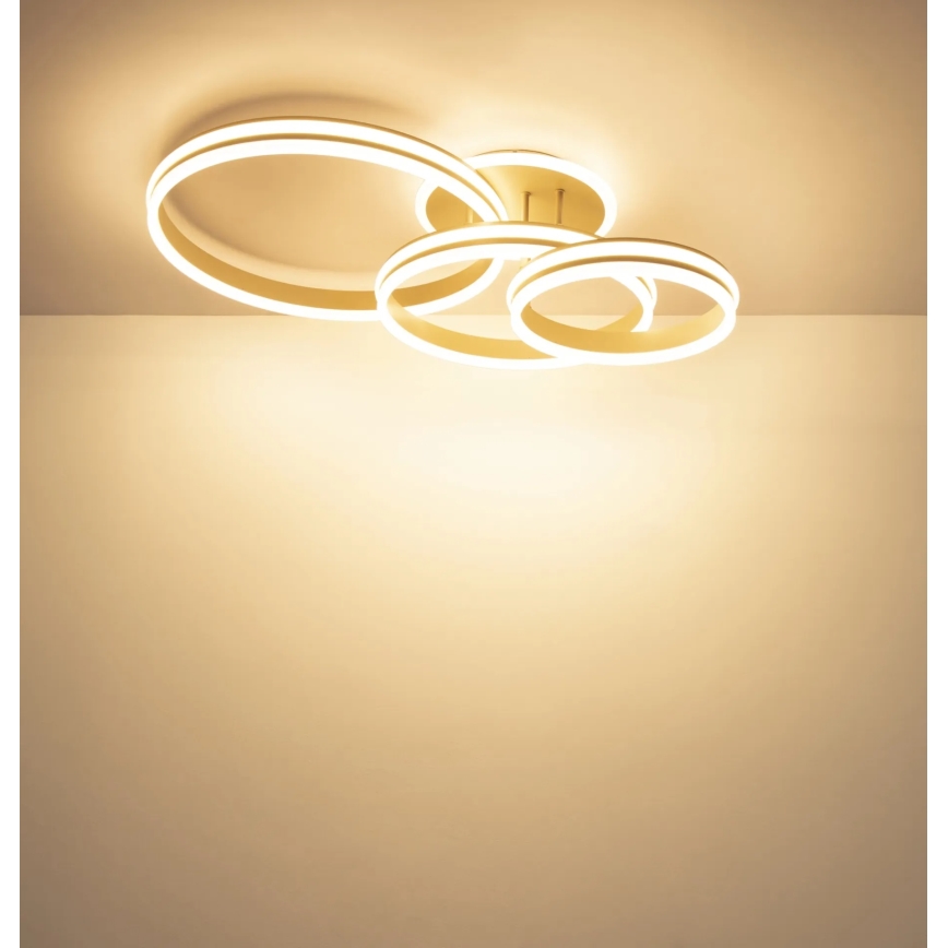 Globo - Plafonnier LED dimmable LED/72W/230V 3000K 79,5x50 cm