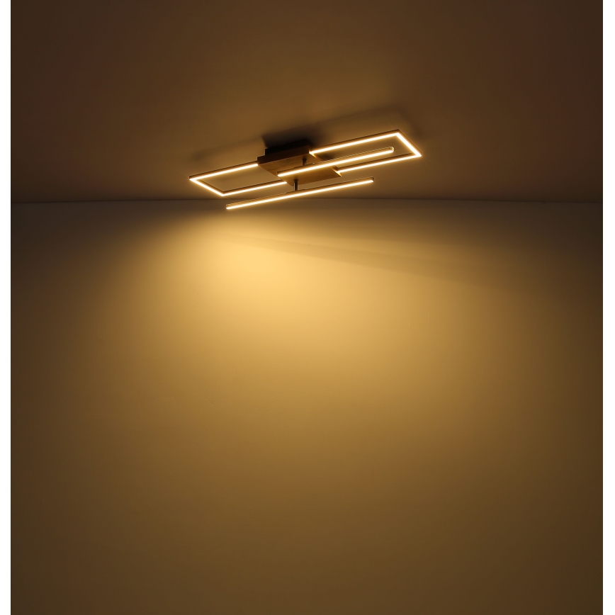 Globo - Plafonnier LED/18W/230V