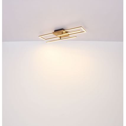 Globo - Plafonnier LED/18W/230V