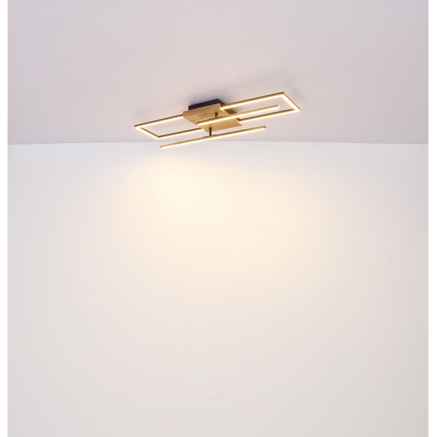 Globo - Plafonnier LED/18W/230V
