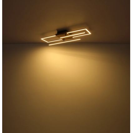 Globo - Plafonnier LED/24W/230V 3000K 20x80 cm