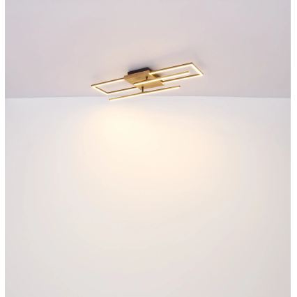 Globo - Plafonnier LED/24W/230V 3000K 20x80 cm